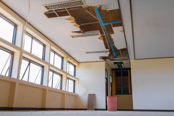 Best Fire Damage Restoration  in Shelbyvle, IL