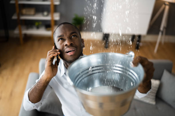 Best Water damage restoration near me  in Shelbyvle, IL