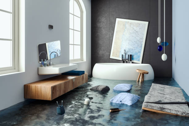 Best Sewage cleanup and water damage restoration  in Shelbyvle, IL
