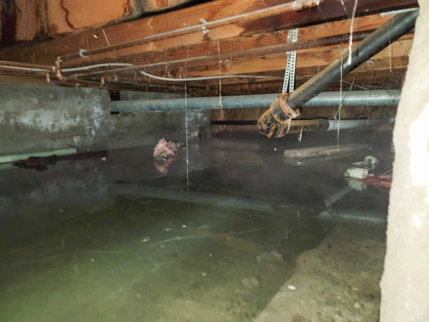 Fire Damage Restoration in Shelbyville, IL