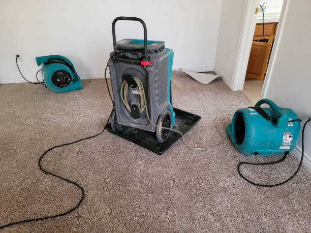 Best Professional water damage repair  in Shelbyvle, IL