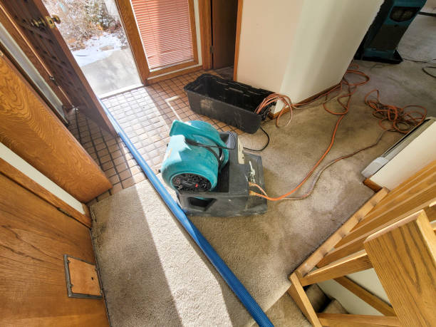 Best 24/7 water damage repair  in Shelbyvle, IL