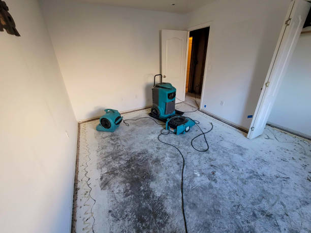 Reliable Shelbyville, IL Water damage restoration Solutions