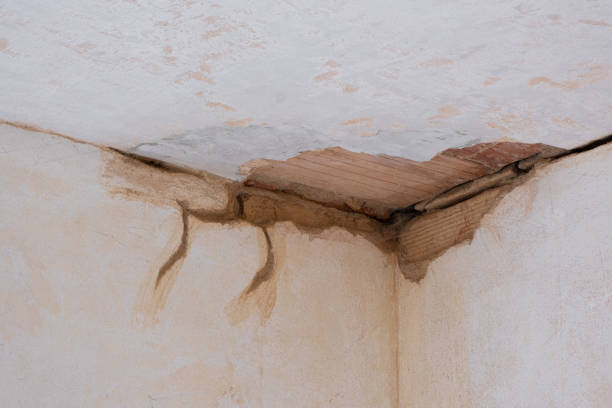 Best Water damage restoration services  in Shelbyvle, IL