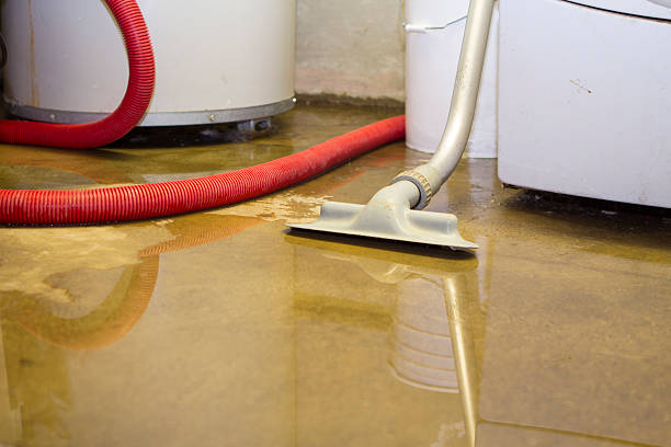 Best Basement water damage restoration  in Shelbyvle, IL