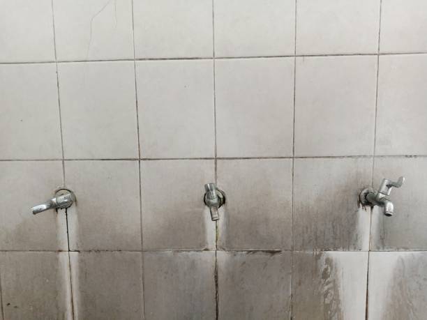 Best Water damage contractors near me  in Shelbyvle, IL