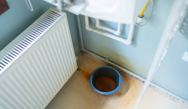 Best Water damage cleanup near me  in Shelbyvle, IL