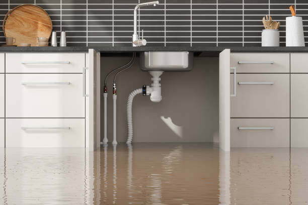 Best Water damage restoration experts  in Shelbyvle, IL