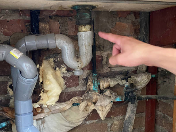 Best Residential water damage restoration  in Shelbyvle, IL