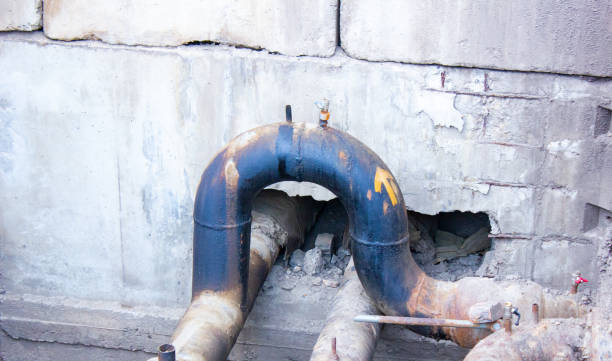 Best Water damage cleanup near me  in Shelbyvle, IL