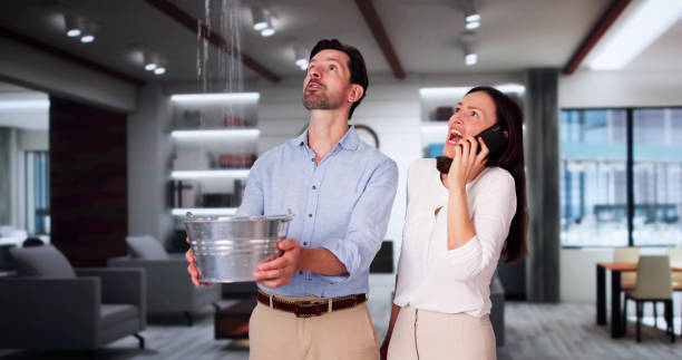Best Carpet water damage restoration  in Shelbyvle, IL