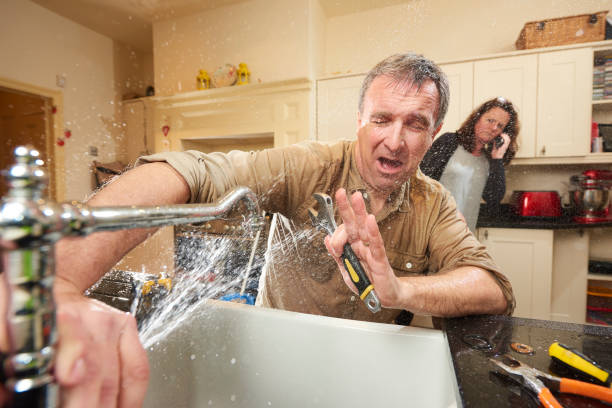Best Water damage contractors near me  in Shelbyvle, IL